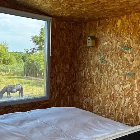 Lodge Premium Avec Bain Nordique *