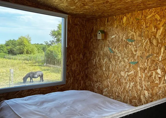 Lodge Premium Avec Bain Nordique *